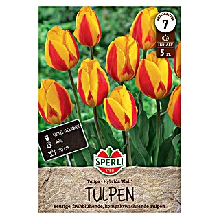 Sperli Bloembollen Enkele Vroege Tulp 'Flair' (Tulipa x Hybrida, 5 st.)