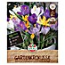 Sperli Bloembollen Maxi Tuin Krokus Mix 