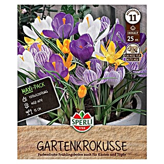 Sperli Bloembollen Maxi Tuin Krokus Mix (Crocus vernus, 25 st.)