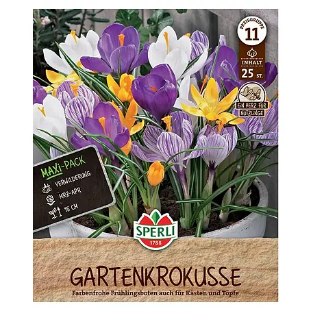 Sperli  Blumenzwiebeln Maxi Gartenkrokus Mischung