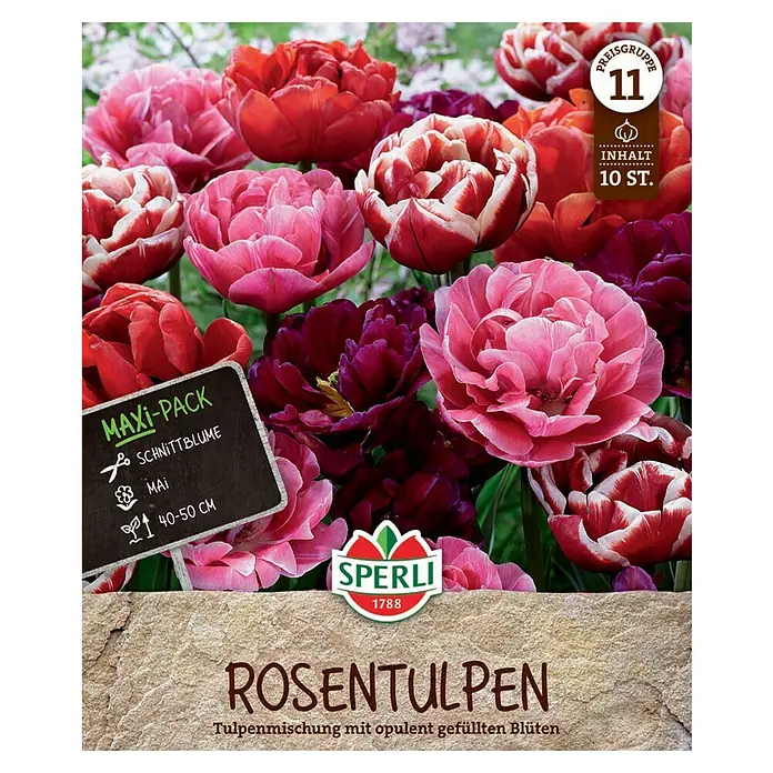 Sperli Blumenzwiebeln Maxi Tulpen Rosentulpen-Mischung - Tulipa x Hybrida, 10 Stk. - Rosen-Tulpenmischung: Verzaubern Sie Ihren Garten mit dieser opulenten Blütenpracht. Ein Maxi-Pack mit 10 Stück für eine farbenfrohe Blütenfülle!
