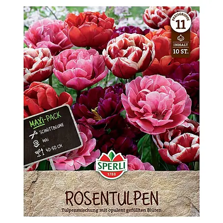 Sperli  Blumenzwiebeln Maxi Tulpen Rosentulpen-Mischung