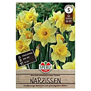 Sperli Bloembollen Grootkroonnarcis Carlton (Narcissus pseudonarcissus, 10 st.)