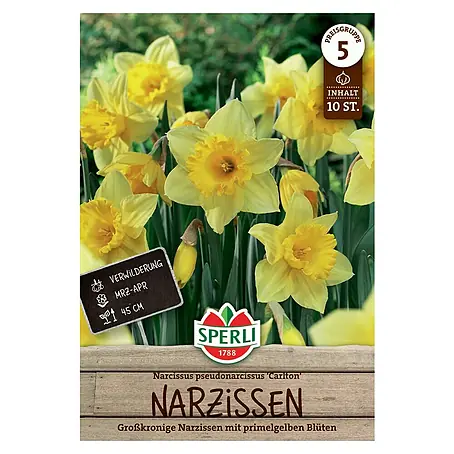 Sperli  Blumenzwiebeln Großkronige Narzisse Carlton