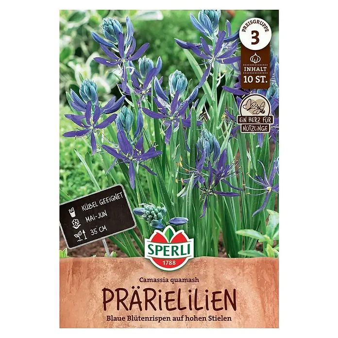 Sperli Blumenzwiebeln Prärielilie - Camassia quamash, 10 Stk. - Samenpackung Prärielilien.