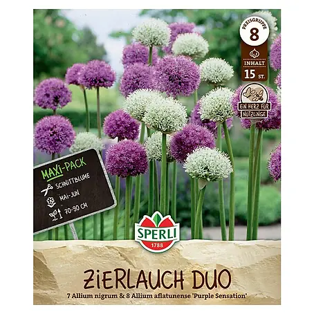 Sperli  Blumenzwiebeln Zierlauch Duo