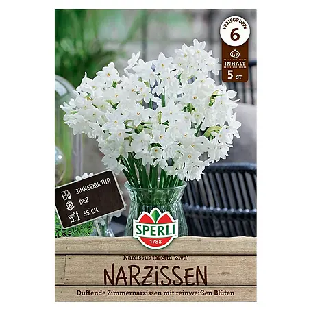 Sperli  Blumenzwiebeln Tazetta Narzisse Ziva