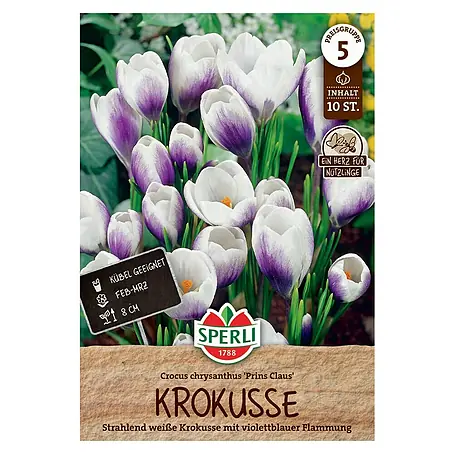 Sperli  Blumenzwiebeln Wildkrokus Prins Claus