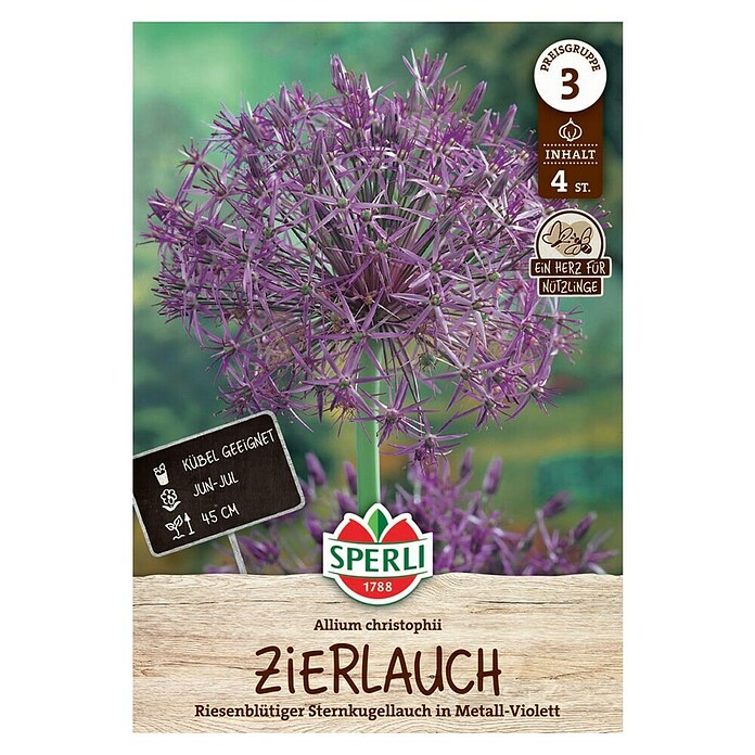 Sperli Blumenzwiebeln Zierlauch Christophii (Allium christophii, Violett, 4 Stk.) | BAUHAUS