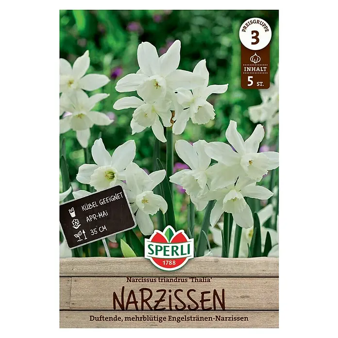 Sperli Blumenzwiebeln Narzisse Thalia - Narcissus triandrus, Weiß, 5 Stk. - Das Bild zeigt eine Packung Narzissen der Sorte 'Thalia' von Sperli, geeignet für Kübel, mit weißen Blüten und einer Höhe von 35 cm.