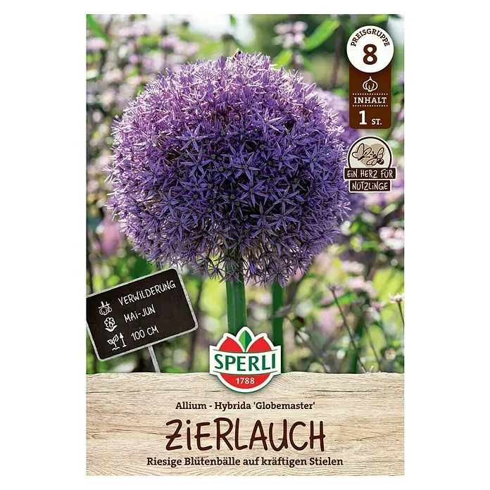 Sperli Blumenzwiebeln Zierlauch Globemaster - Allium x Hybrida, Lila - Zierlauch 'Globemaster' von Sperli. Ein großer, lila Blütenball auf kräftigem Stiel, ideal zur Verwilderung im Mai-Juni. Preisgruppe 8.