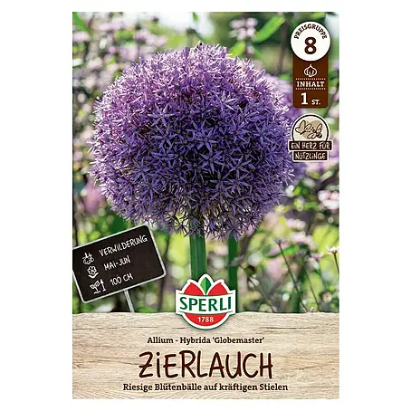 Sperli  Blumenzwiebeln Zierlauch Globemaster