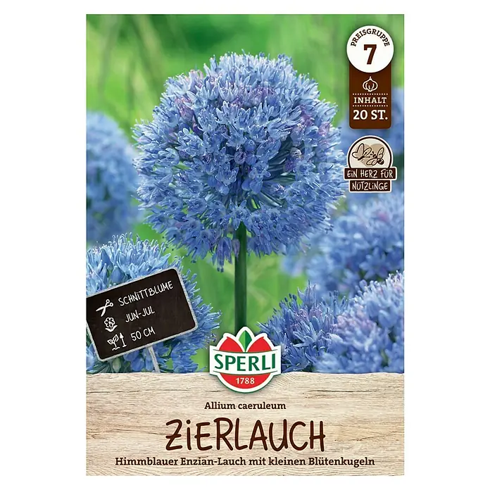 Sperli Blumenzwiebeln Zierlauch cearuleum - Allium caeruleum, Blau - Samenpackung Zierlauch (Allium caeruleum) mit himmelblauen Blütenkugeln, ideal für Schnittblumen und als Bienenweide.