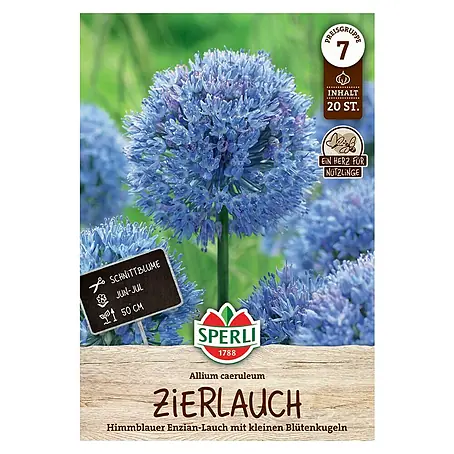 Sperli  Blumenzwiebeln Zierlauch cearuleum