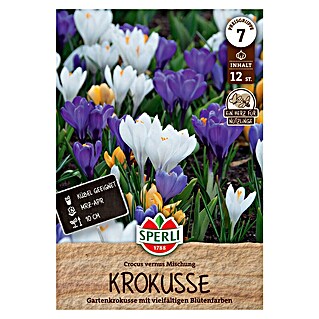 Sperli Bloembollen Tuinkrokusmix (Crocus vernus, 12 st.)