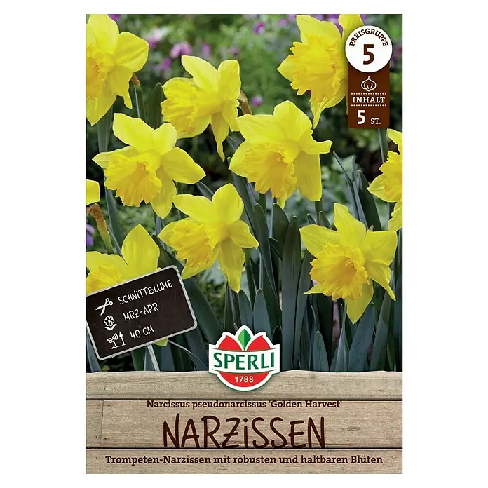 Sperli Blumenzwiebeln Trompeten Narzisse Golden Harvest - Narcissus pseudonarcissus, Goldgelb, 5 Stk. - Narzissen 'Golden Harvest' Blumenzwiebeln: Trompeten-Narzissen mit robusten, haltbaren Blüten für farbenfrohe Gärten und als Schnittblumen geeignet.