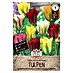 Sperli Bloembollen Viridiflora Tulpenmix 