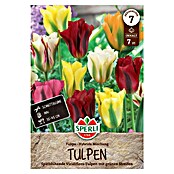 Sperli Bloembollen Viridiflora Tulpenmix (Tulipa x Hybrida, 7 st.) | BAUHAUS
