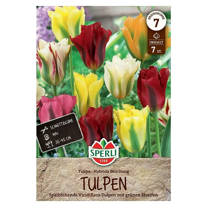 Sperli Blumenzwiebeln Viridiflora-Tulpe Mischung - Tulipa x Hybrida, 7 Stk. - Das Bild zeigt eine Packung Sperli Tulpen, eine Hybrida Mischung von spätblühenden Viridiflora-Tulpen mit grünen Streifen.