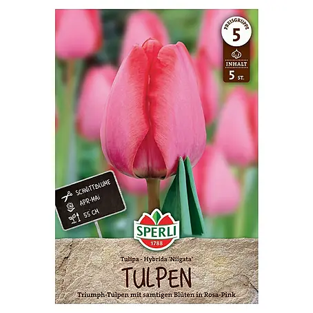 Sperli  Blumenzwiebeln Darwin-Hybrid-Tulpe Niigata