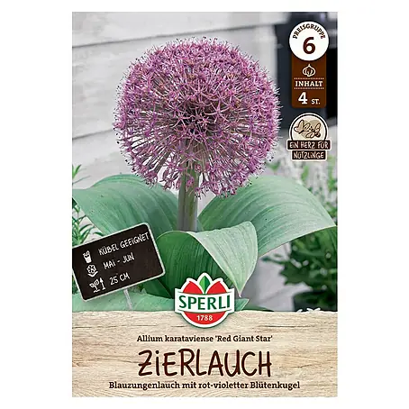 Sperli  Blumenzwiebeln Red Giant Star