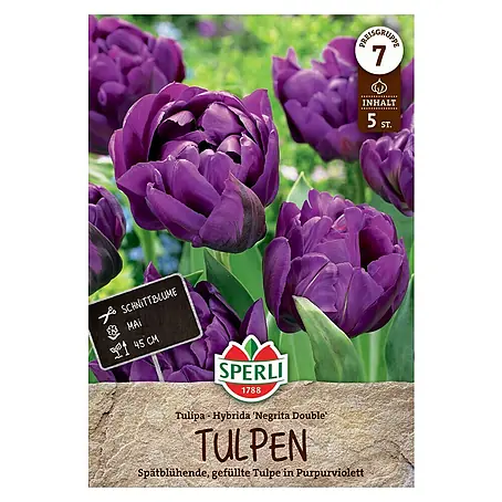 Sperli  Blumenzwiebeln Gefüllte Späte Tulpe Negrita Double