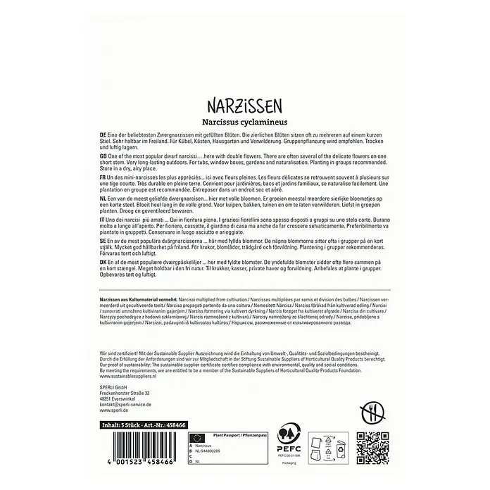 Sperli Blumenzwiebeln Botanische Narzisse Tete Boucle - Narcissus cyclamineus 'Tete Boucle', 5 Stk. - Narzissen-Produktverpackung. Enthält 5 Zwergnarzissen (Narcissus cyclamineus) für den Garten oder Topf, ideal zur Gruppenpflanzung.