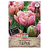 Sperli Bloembollen Gevulde Late Tulp 'Pink Star' (Tulipa x Hybrida, 6 st.) | BAUHAUS