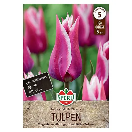 Sperli  Blumenzwiebeln Lilienblütige Tulpe Claudia