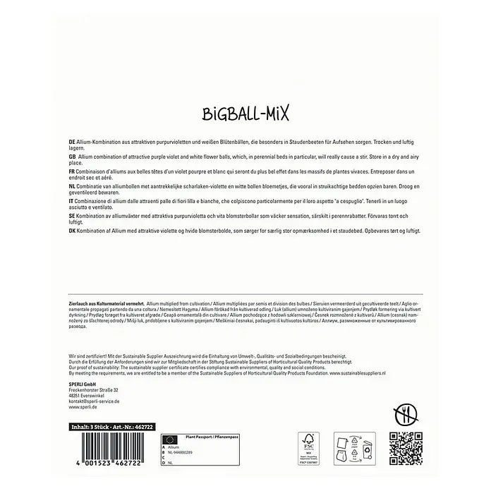 Sperli Blumenzwiebeln Maxi Großblumiger Zierlauch Mischung - Allium x Hybrida - BIGBALL-MIX Allium-Kombination mit purpurvioletten und weißen Blütenbällen.