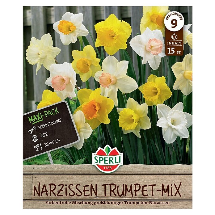 Sperli Bloembollen Maxi Trompet Narcis Mix (Narcissus pseudonarcissus, 15 st.) | BAUHAUS