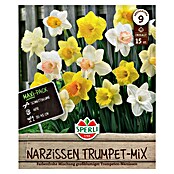 Sperli Bloembollen Maxi Trompet Narcis Mix (Narcissus pseudonarcissus, 15 st.) | BAUHAUS