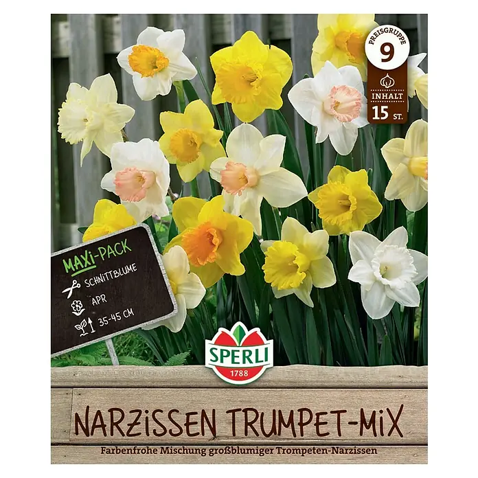 Sperli Blumenzwiebeln Maxi Trompeten-Narzissen Mischung - Narcissus pseudonarcissus, 15 Stk. - Packung Narzissen Trumpet-Mix mit farbenfrohen, grossblumigen Trompeten-Narzissen.