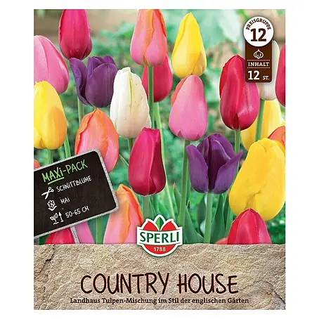 Sperli  Blumenzwiebeln Maxi Tulpen Landhaus Mischung