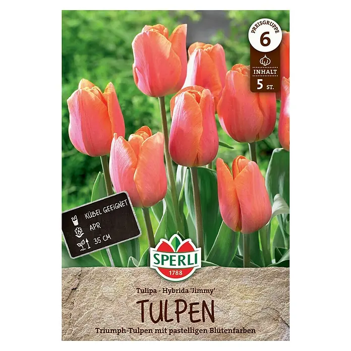 Sperli Blumenzwiebeln Triumph-Tulpe Jimmy - Tulipa x Hybrida, 5 Stk. - Ein Produktbild der 'Jimmy' Triumph-Tulpen von Sperli, mit pastellfarbenen Blüten, ideal für Kübel und Gärten.