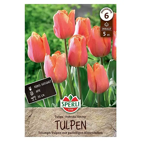 Sperli  Blumenzwiebeln Triumph-Tulpe Jimmy