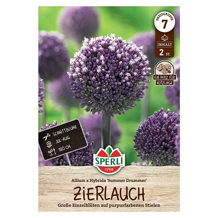 Sperli Bloembollen Sierui Zomer Drummer (Allium x Hybrida, Paars, 2 st.) | BAUHAUS