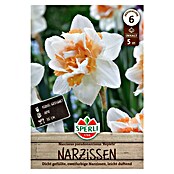 Sperli Bloembollen Gevulde narcis Replete (Narcissus pseudonarcissus, 5 st.) | BAUHAUS