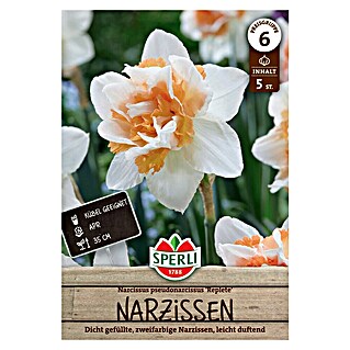 Sperli Bloembollen Gevulde narcis Replete (Narcissus pseudonarcissus, 5 st.)