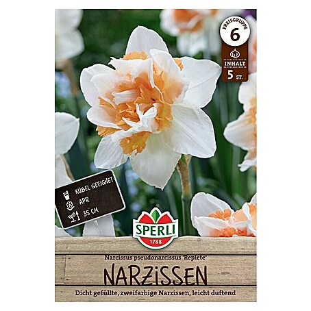 Sperli Blumenzwiebeln Gefüllte Narzisse Replete (Narcissus pseudonarcissus, 5 Stk.)