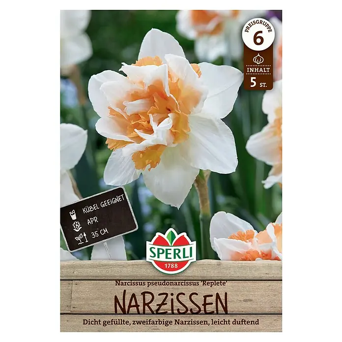 Sperli Blumenzwiebeln Gefüllte Narzisse Replete - Narcissus pseudonarcissus, 5 Stk. - Narzissen 'Replete' Blumenzwiebeln. Die Packung enthält 5 Stück dicht gefüllte, zweifarbige Narzissen, die leicht duften und sich gut für Kübel eignen.