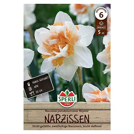 Sperli  Blumenzwiebeln Gefüllte Narzisse Replete