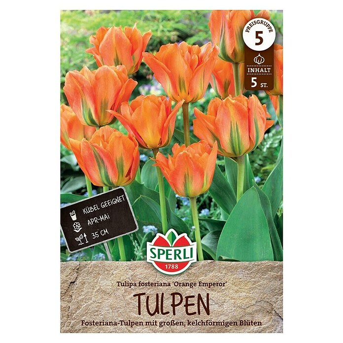 Sperli Bloembollen Fosteriana tulp Orange Emperor (Tulipa fosteriana, 5 st.) | BAUHAUS