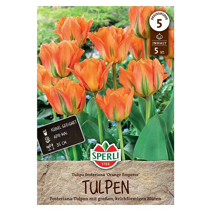 Sperli Blumenzwiebeln Fosteriana-Tulpe Orange Emperor - Tulipa fosteriana, 5 Stk. - Das Foto zeigt eine Verpackung Tulpen der Sorte 'Orange Emperor' von Sperli, ideal für Kübel, Blütezeit April-Mai.