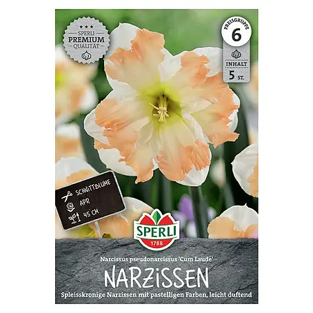 Sperli  Blumenzwiebeln Spleißkronige Narzisse Cum Laude
