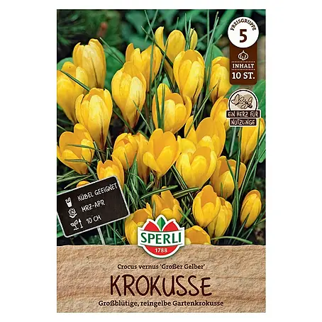 Sperli  Blumenzwiebeln Gartenkrokus Großer Gelber
