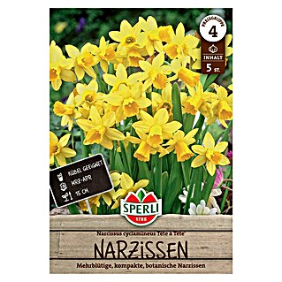 Sperli Bloembollen Narcissen Tête à Tête (Narcissus cyclamineus, Geel, 5 st.)