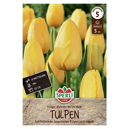 Sperli  Blumenzwiebeln Einfache Späte Tulpe Roi du Midi
