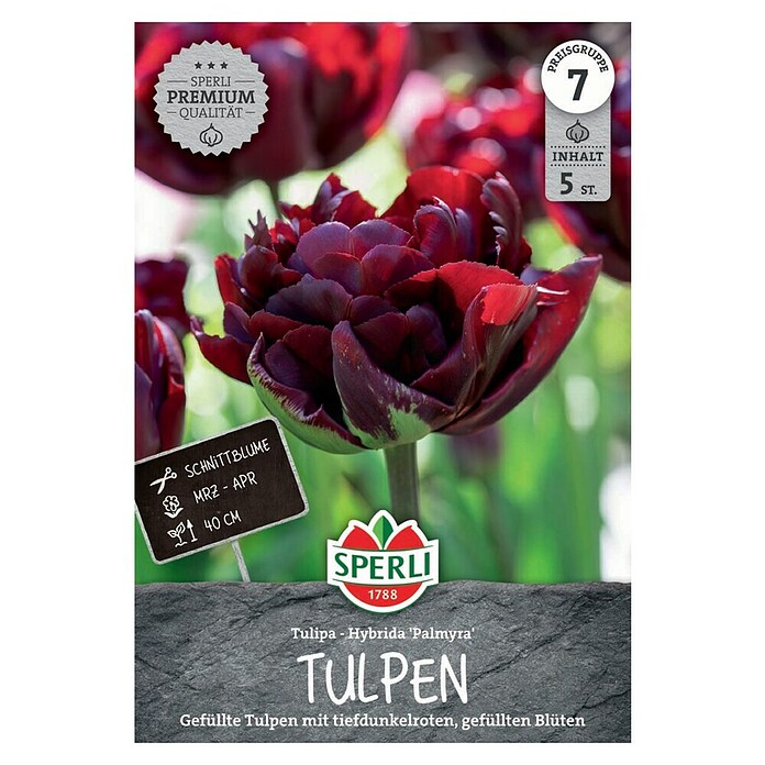 Sperli Blumenzwiebeln Gefüllte Frühe Tulpe Palmyra (Tulipa x Hybrida, Dunkelrot, 5 Stk.) | BAUHAUS