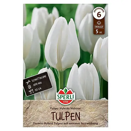 Sperli  Blumensamen Hakuun